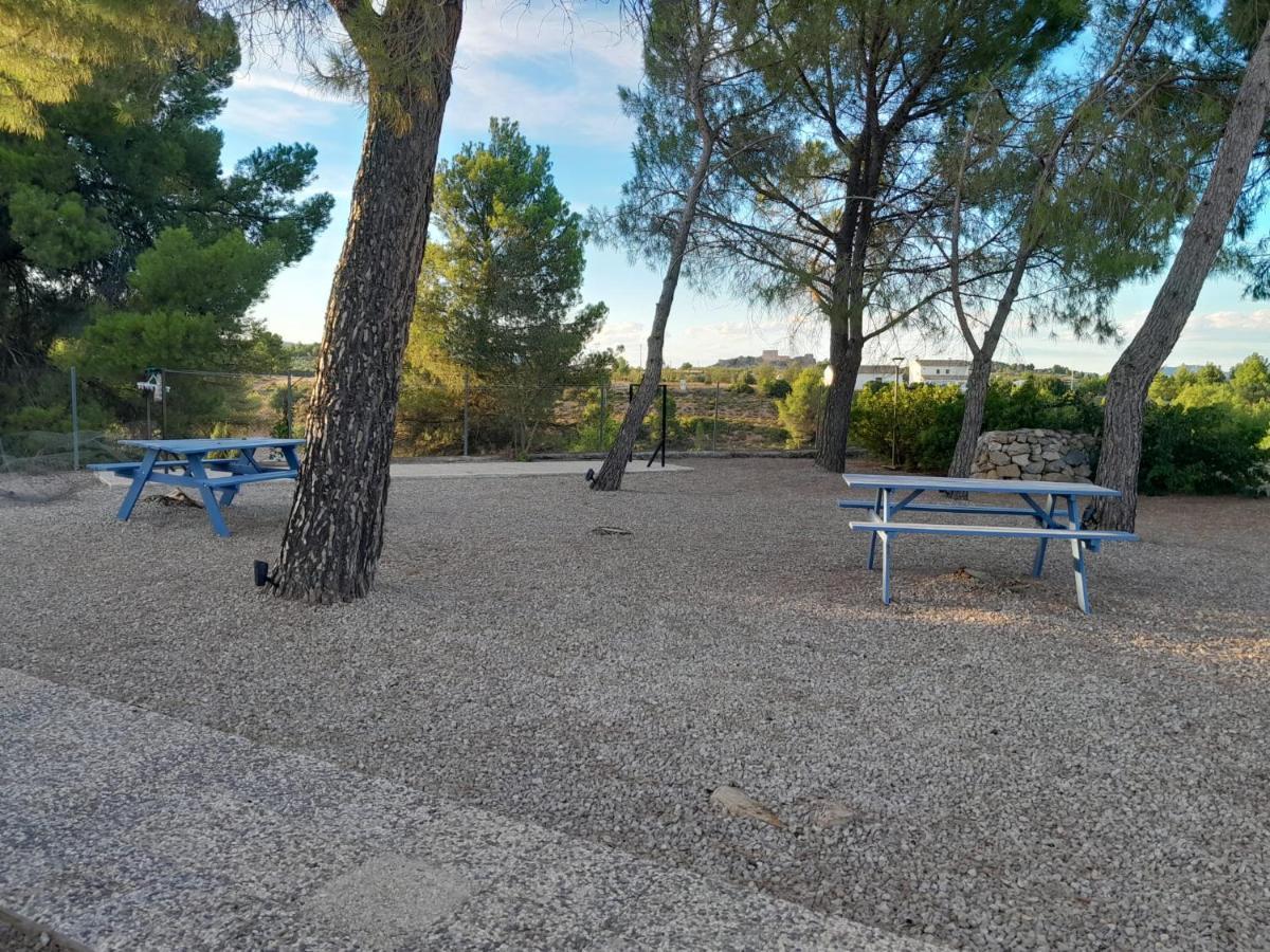 Djm Palms - Shared Casa Rural - Casa Rural Compartida - No Es Una Casa Privada Ayora Kültér fotó
