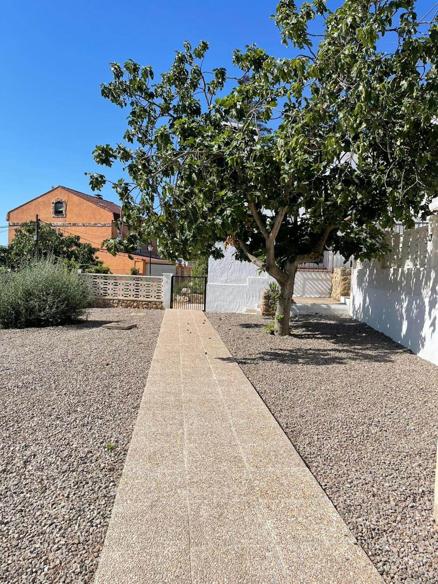 Djm Palms - Shared Casa Rural - Casa Rural Compartida - No Es Una Casa Privada Ayora Kültér fotó